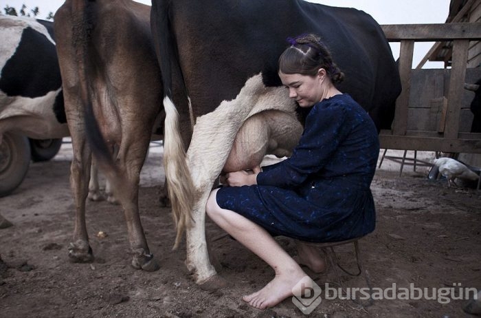 Mennonitler'in gizli yaşamı