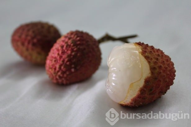 Bu meyvenin faydaları saymakla bitmiyor!
