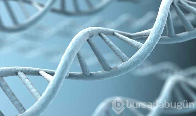 Obezite, depresyon ve sigara bağımlılığının nedeni ortaya çıktı