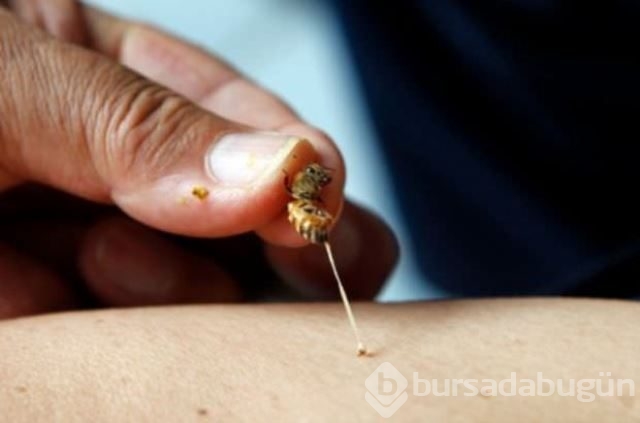 Muhteşem üçlü ile gençleşin