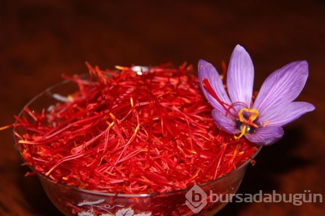 Muhteşem üçlü ile gençleşin