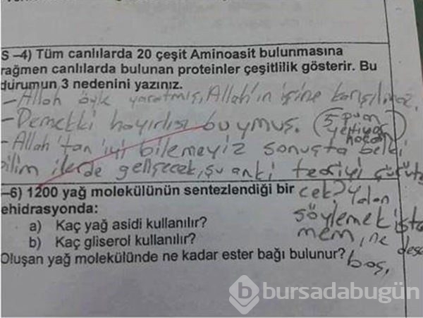 Bu sınav cevapları çok güldürüyor