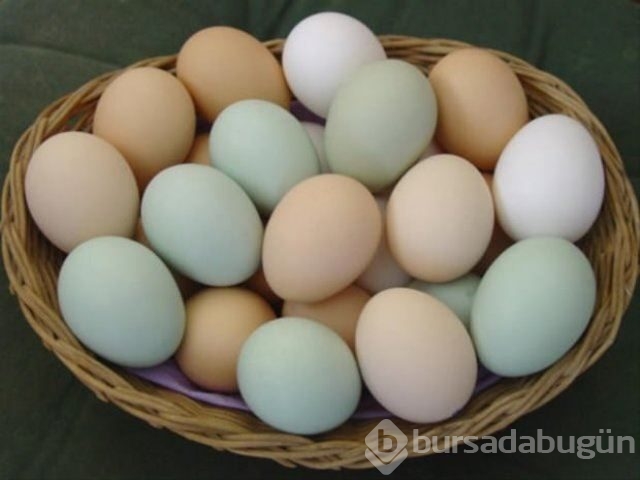 Tekrar ısıtılmaması gereken yiyecekler!