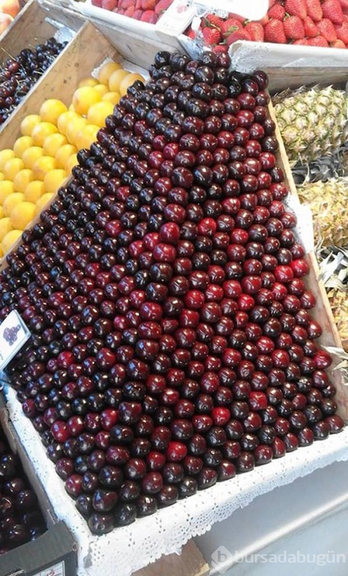 Beyine hararet yaptıran eserler