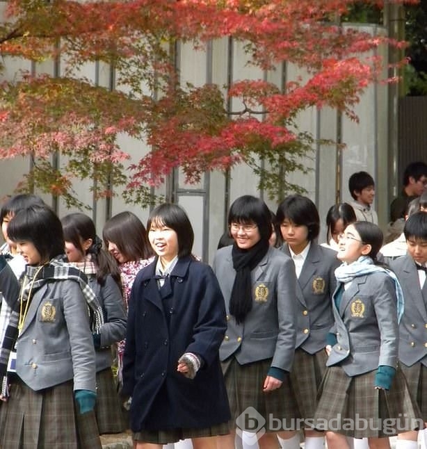Bir de Japon eğitim sistemine bakın
