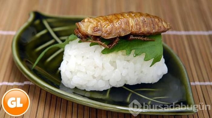 Japonya'da bunları yiyorlar!
