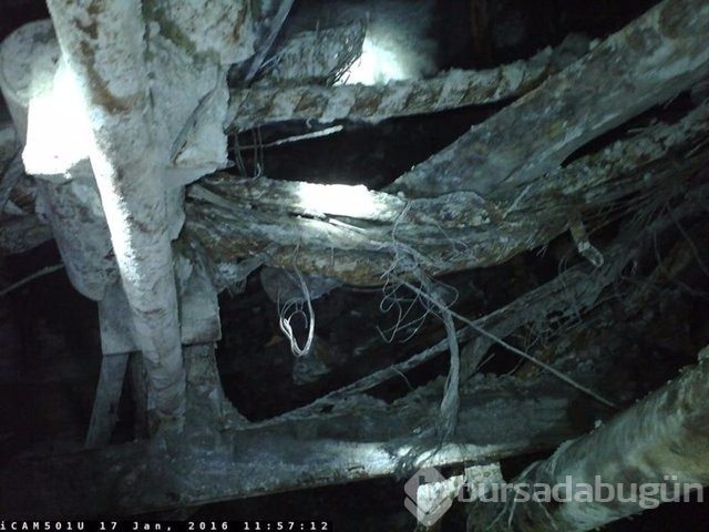 Soma faciasının 21 ay sonra ortaya çıkan fotoğrafları	