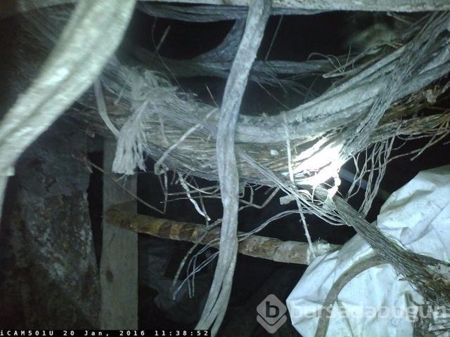 Soma faciasının 21 ay sonra ortaya çıkan fotoğrafları	