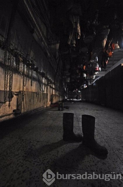 Soma faciasının 21 ay sonra ortaya çıkan fotoğrafları	