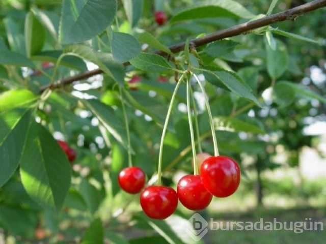 Hayatınızı kolaylaştıracak 35 ipucu!