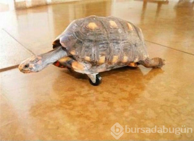 En ilginç Türk icatları..