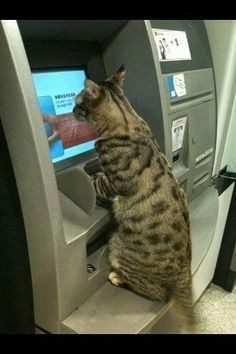 ATM'den para çeken bu adam neye sebep olduğunu bilmiyordu!