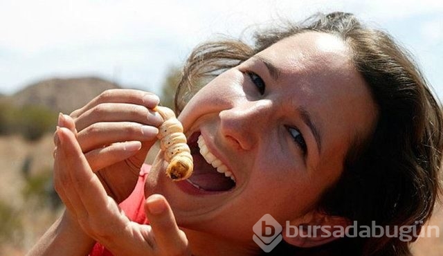 Dünyanın en iğrenç yemekleri..