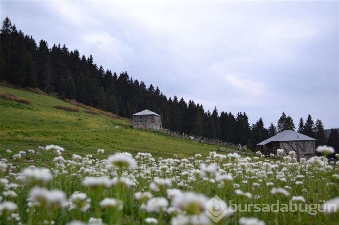 Yayla ve deniz teleferikle birleşecek