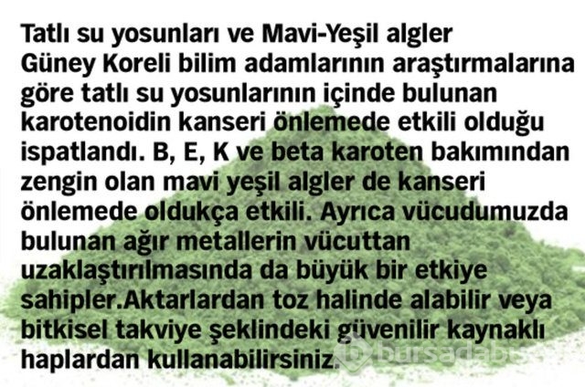Kanser hücrelerini yok etmede etkisi kanıtlanmış 10 yiyecek