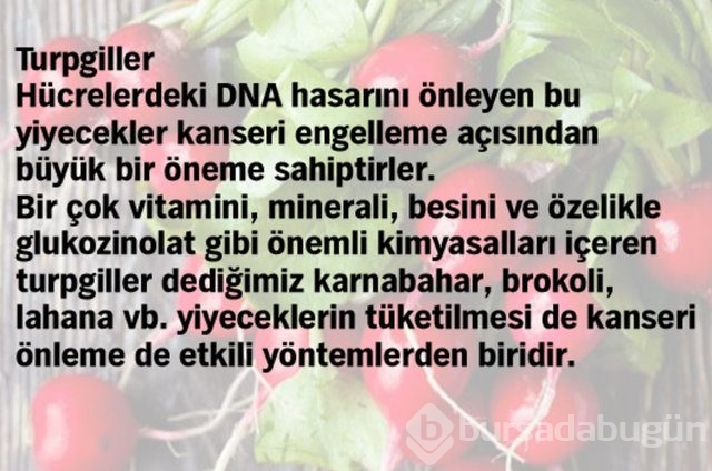 Kanser hücrelerini yok etmede etkisi kanıtlanmış 10 yiyecek