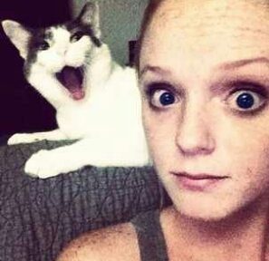 Selfie'ye olan meraklarıyla güldüren 20 kedi