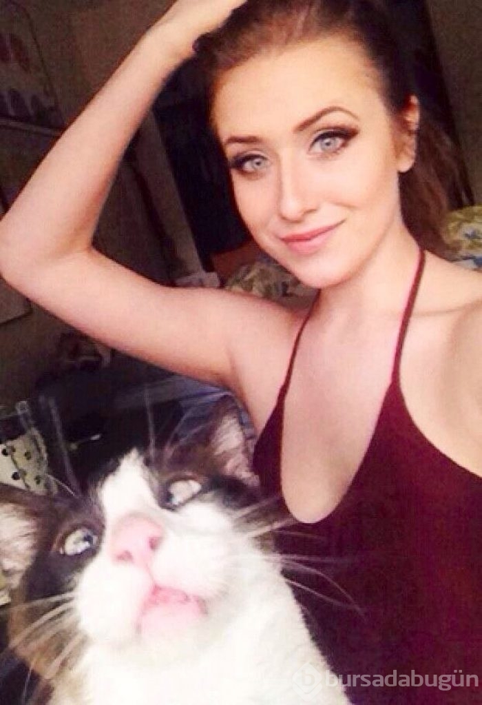 Selfie'ye olan meraklarıyla güldüren 20 kedi