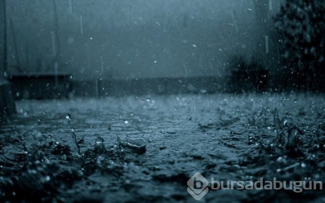 Naftalin'de kanser şoku