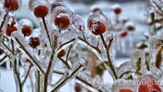&#8203;Doğanın yarattığı 20 buzdan heykel
