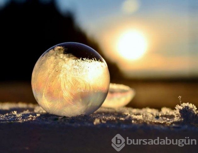 &#8203;Doğanın yarattığı 20 buzdan heykel
