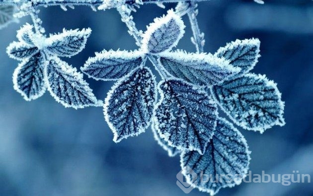 &#8203;Doğanın yarattığı 20 buzdan heykel
