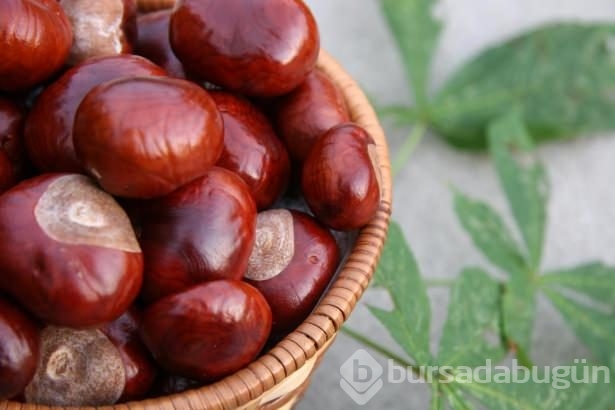 Günde 3 tane kestanenin inanılmaz faydaları!