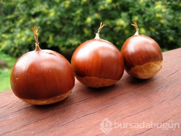 Günde 3 tane kestanenin inanılmaz faydaları!