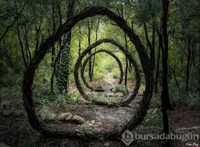 Baş döndüren kareler
