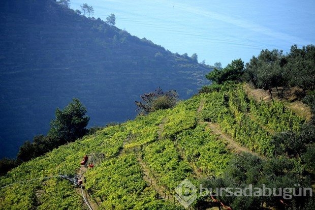 Cinque Terre'ye turist kısıtlaması geliyor