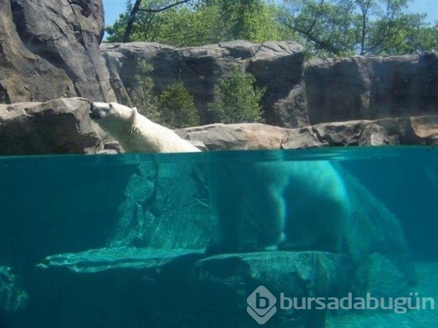 Göz yanılması yaşayabileceğiniz 18 fotoğraf