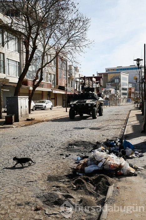 Sur'da hayat normale dönüyor!	