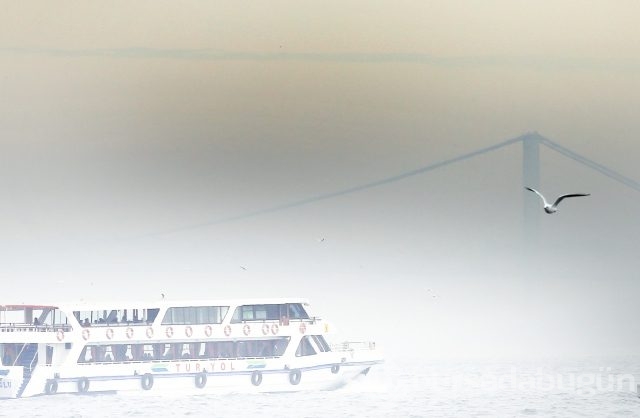 İstanbul Boğazı'nda kuşların ahengi