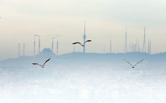 İstanbul Boğazı'nda kuşların ahengi