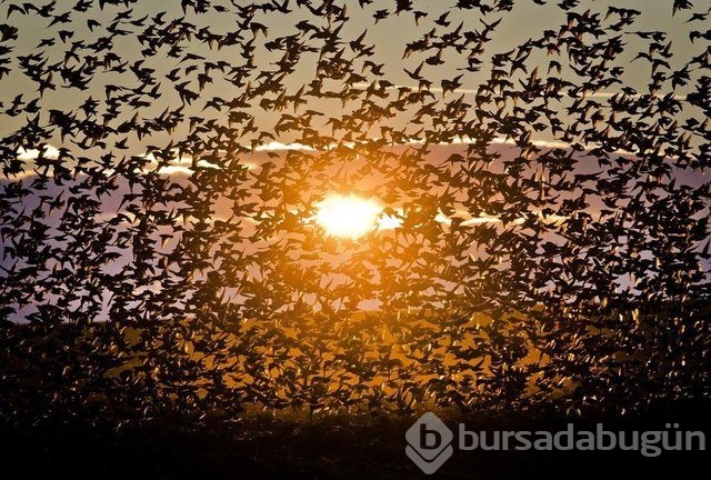 Öbür tarafı böyle anlattı