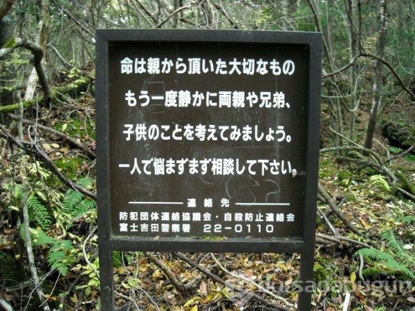 Aokigahara ormanının ürküten hikayesi