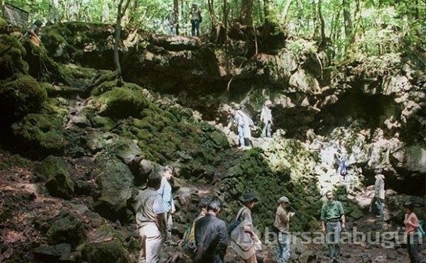 Aokigahara ormanının ürküten hikayesi