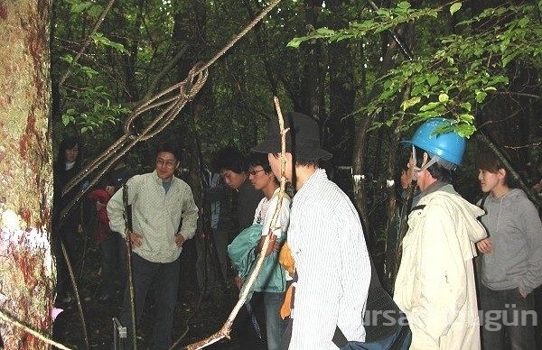 Aokigahara ormanının ürküten hikayesi