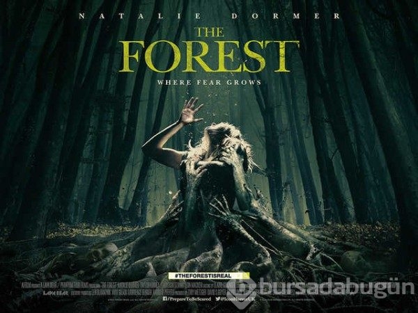 Aokigahara ormanının ürküten hikayesi