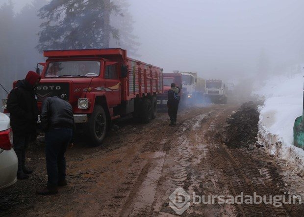 Artvin'in Cerattepe bölgesinde çalışmalar başladı