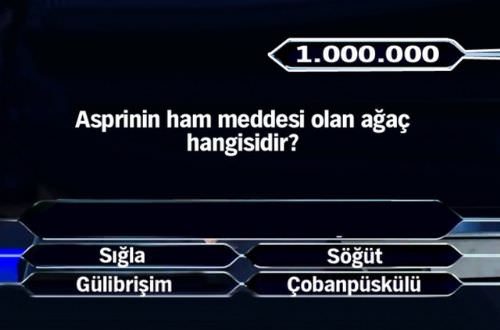 1 milyon liralık 11 final sorusu	