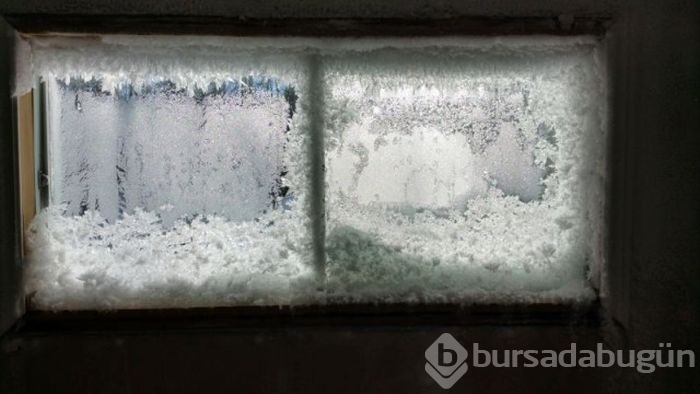 Evi buz tuttu