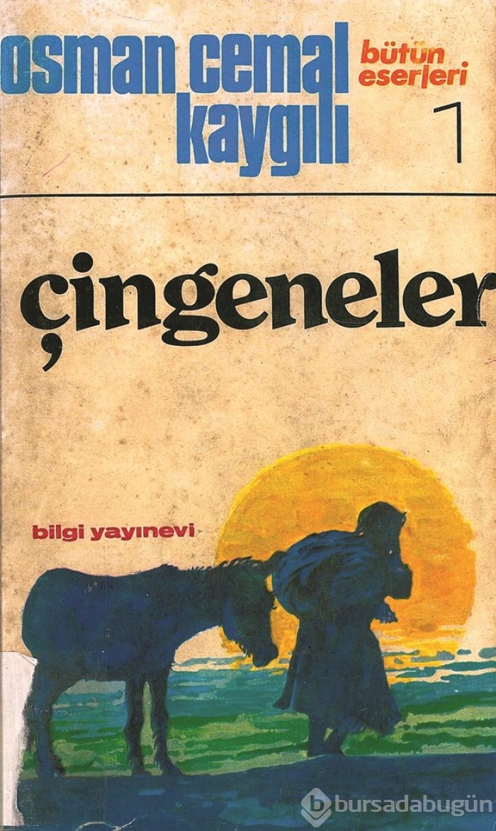 İstanbul'un 100 romanı