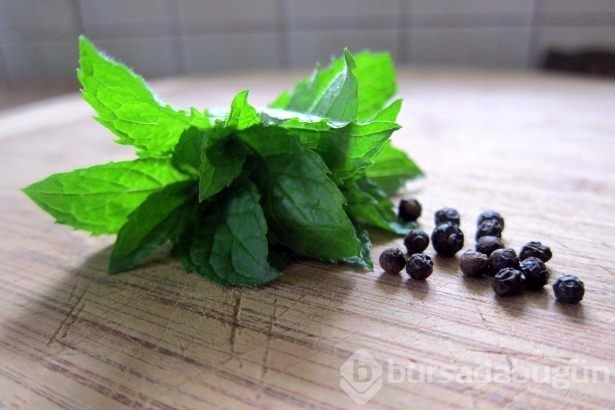 Bahçe nanesinin 5 faydası!	