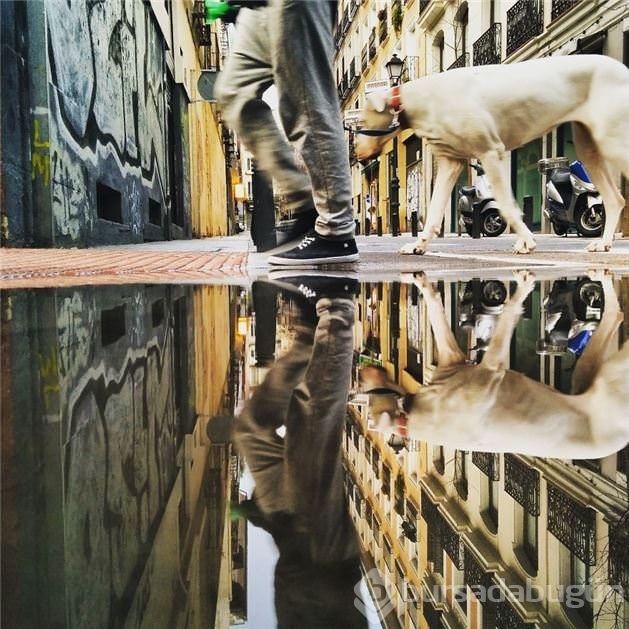 Suya yansıyan muhteşem fotoğraflar
