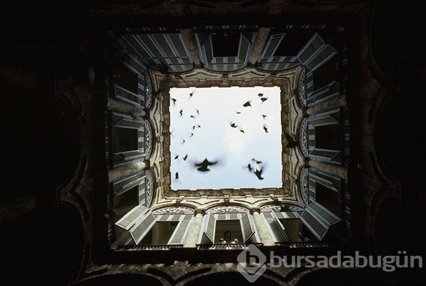 National Geographic'ten daha önce görülmemiş kareler