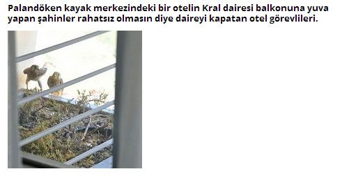 Dünyada iyiliğin varolduğunu kanıtlayan 26 Kişi
