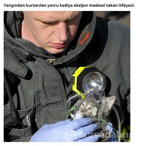 Dünyada iyiliğin varolduğunu kanıtlayan 26 Kişi
