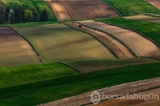 15 fotoğrafla &#8203;Polonya'nın muhteşem tarlaları