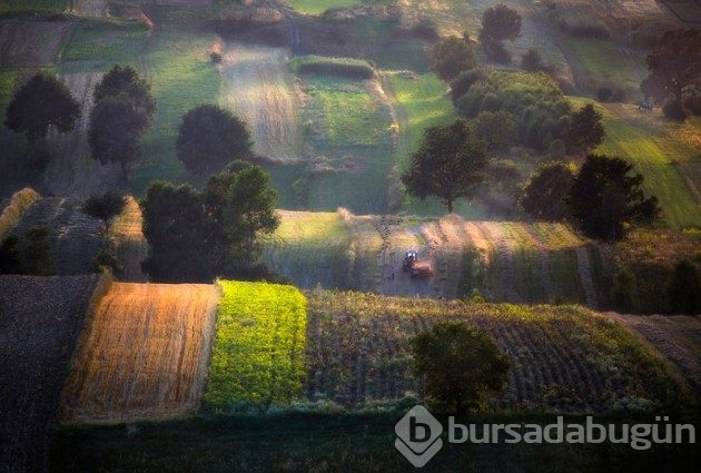 15 fotoğrafla &#8203;Polonya'nın muhteşem tarlaları